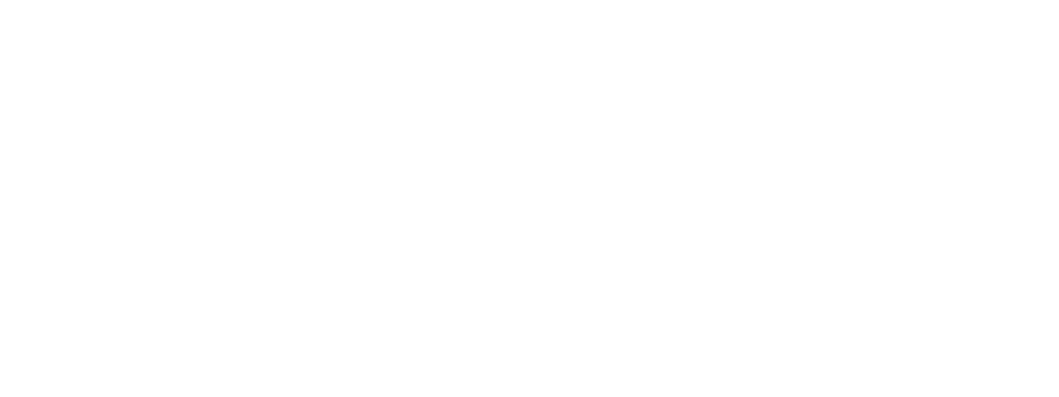 Torres & Zheng at Law